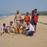 ऑलिव्ह रिडलेच्या पिल्लांना जीवदान