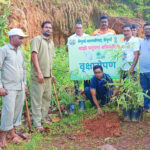 न.प.मार्फत विविध ठिकाणी वृक्षारोपण