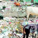 पुरस्कारप्राप्त परूळे गावात अस्वच्छतेचा कळस 