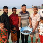 ऑलिव्ह रिडले पिल्लांना समुद्री अधिवास