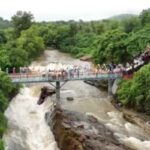 काचेचा पूल पाहण्यास गर्दी