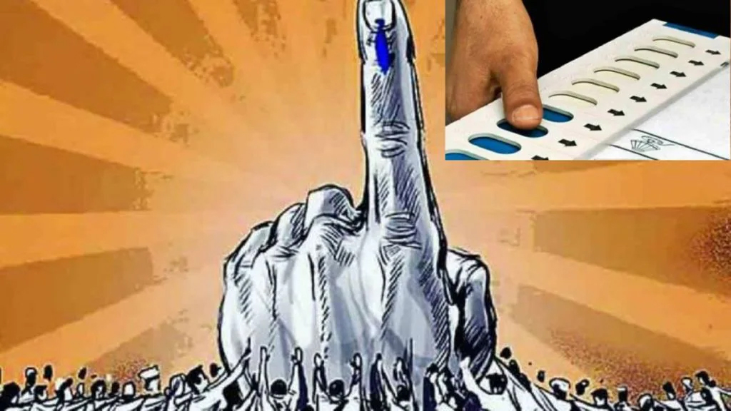 निवडणुका स्थानिक प्रश्नांच्या की पक्षीय समीकरणांच्या?