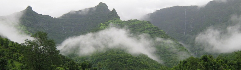 कोकणचा 'आक्रोश' आणि हवामान बदलाचे संकट!