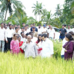 पालकमंत्र्यांकडून नुकसानग्रस्त भात पिक, विहिर, बंधाऱ्याची पाहणी